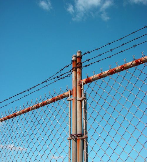 chain link fence privacy