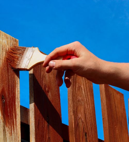 staining a fence